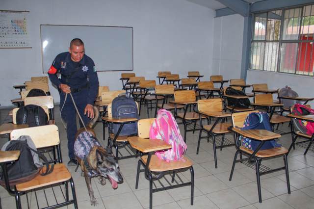 Ha intervenido SSPTYVM cerca de 50 instituciones educativas