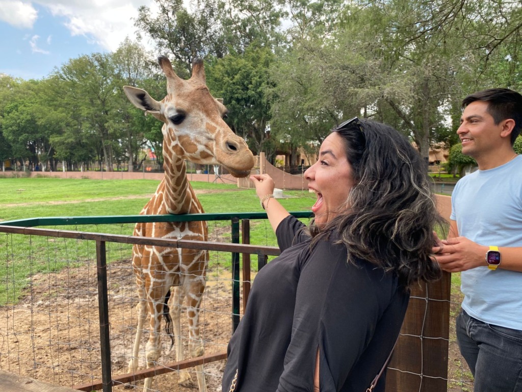 ZooMorelia te invita a contar manchas