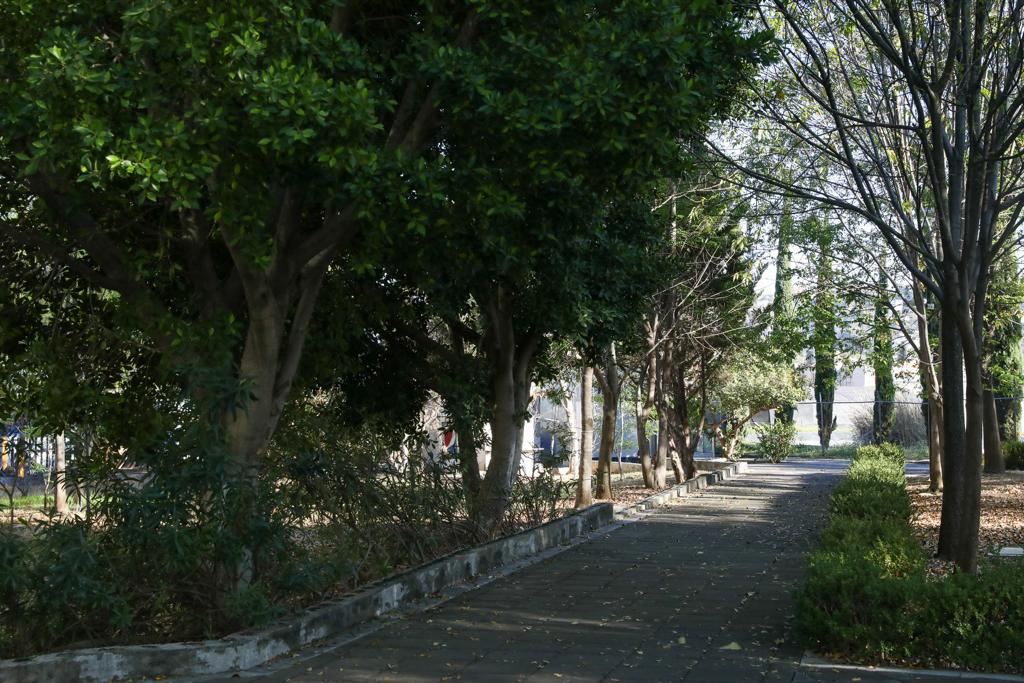 Habrá Internet para toda Ciudad Universitaria, preparatorias y Unidades Profesionales de la UMSNH