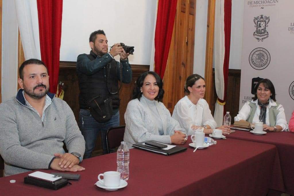 Niños y adolescentes, los más afectados por cambios de modelo en salud: Lupita Díaz