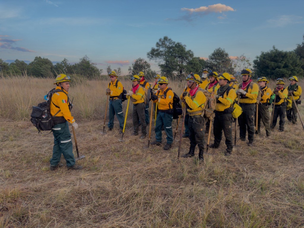 Gobierno de Nacho Campos sigue preparándose para prevenir incendios forestales