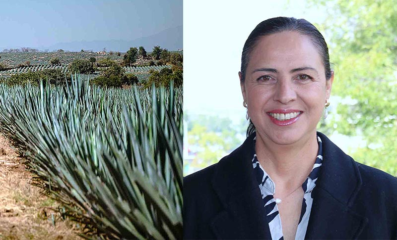 Investigación de la Universidad Autónoma de Guadalajara busca usar tejido de agave en productos de belleza