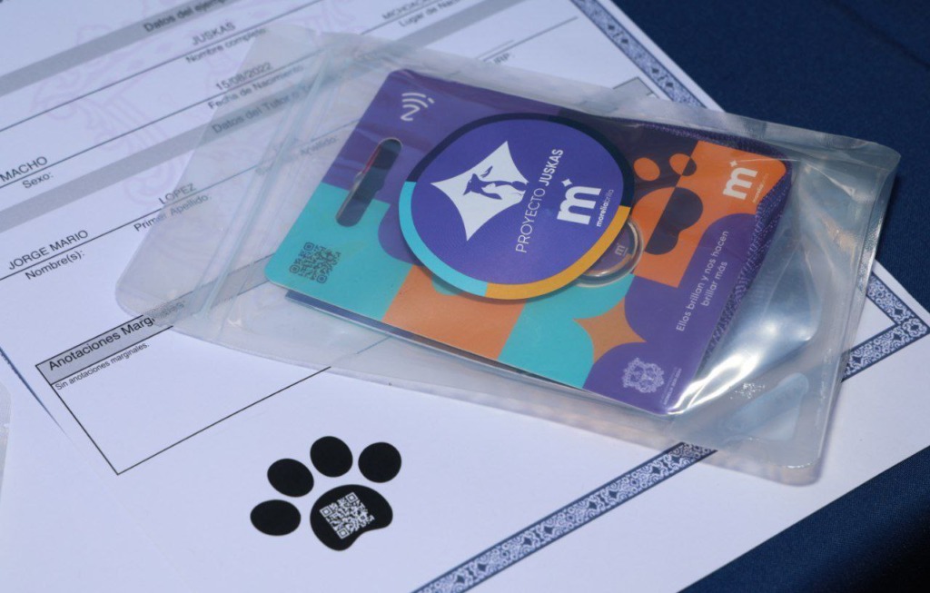 Con obras y acciones concretas, somos un gobierno que ama a los animales: AMA