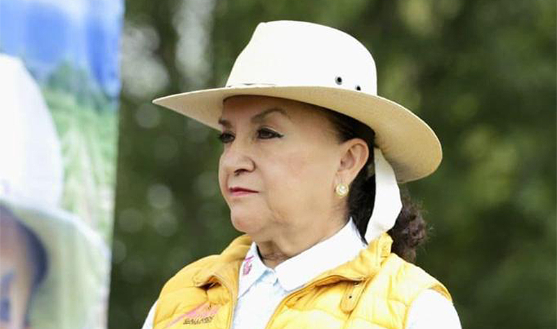 De suma gravedad escalada contra el Poder Judicial en México: Julieta Gallardo