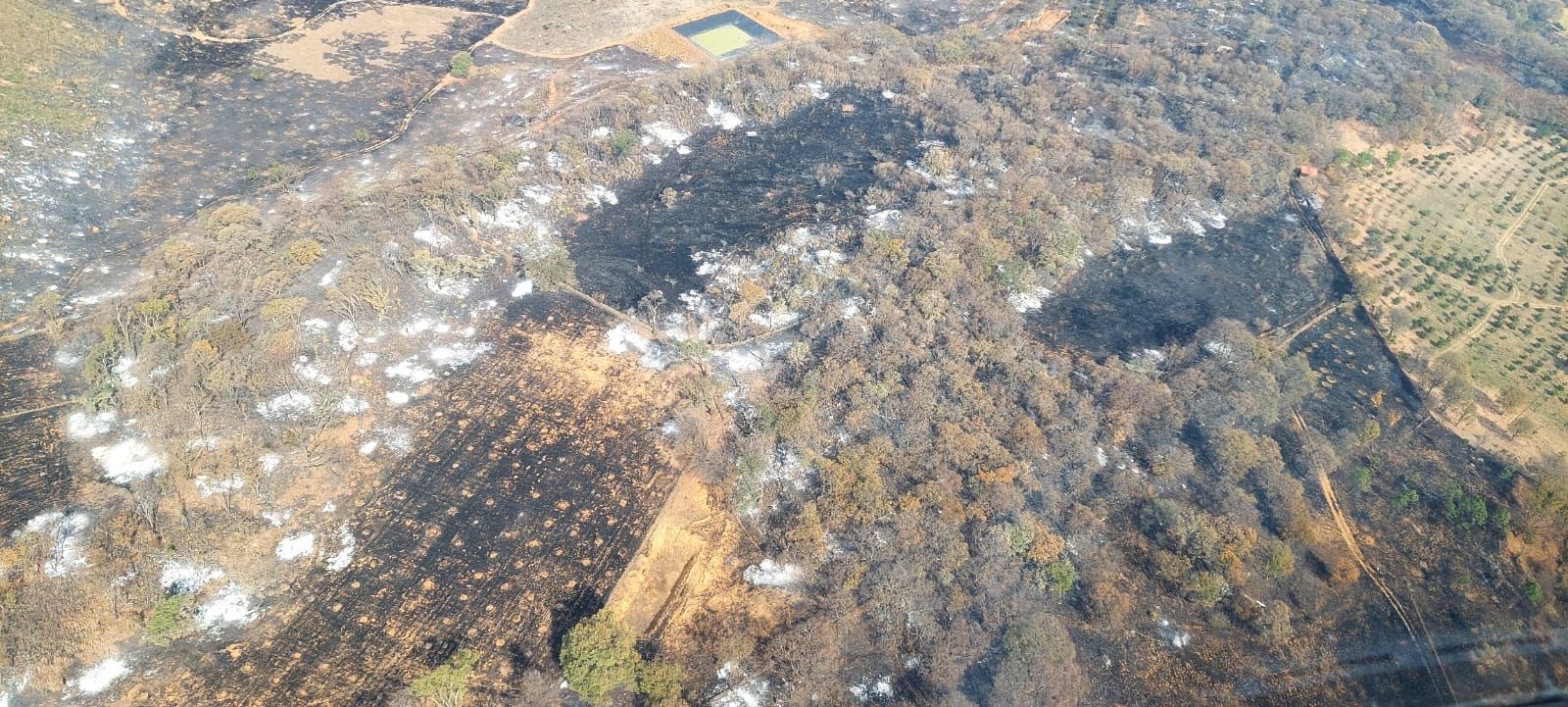 Brigadistas atienden 6 incendios forestales en Michoacán