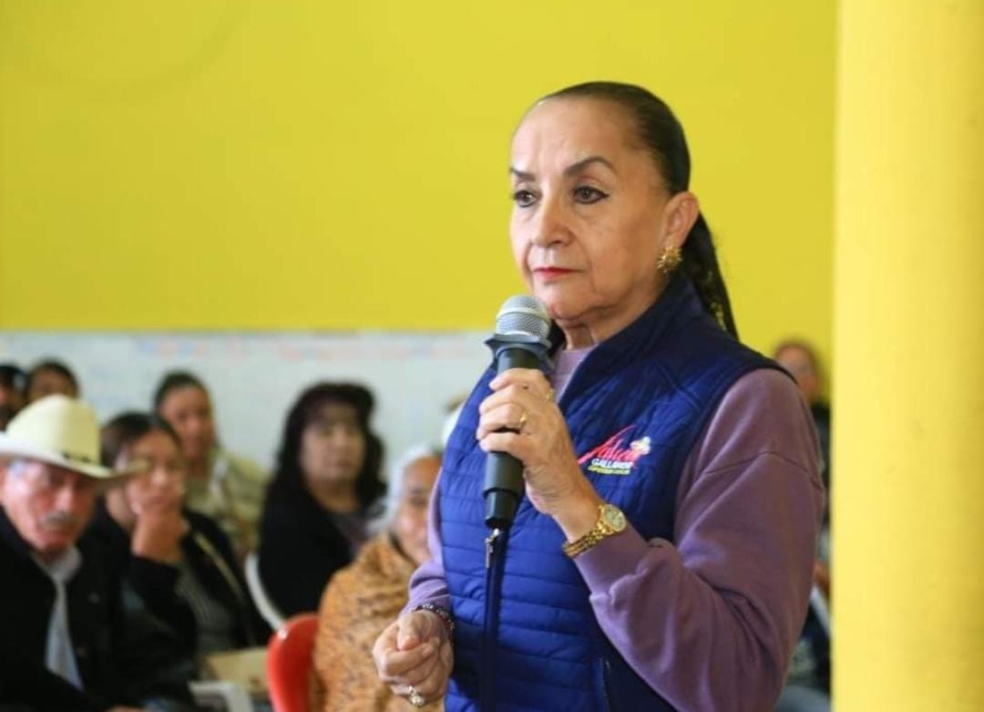 Prioritario aprovechar las ventajas competitivas de Michoacán y México: Julieta Gallardo