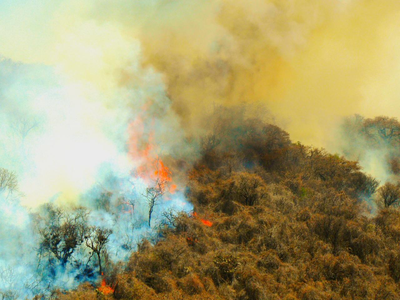 Inician sobrevuelo de dron para atender incendio en el cerro del Quinceo