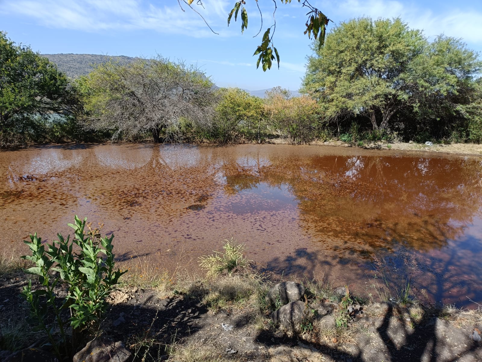 La denuncia ambiental es fundamental para cuidar el agua: Proam