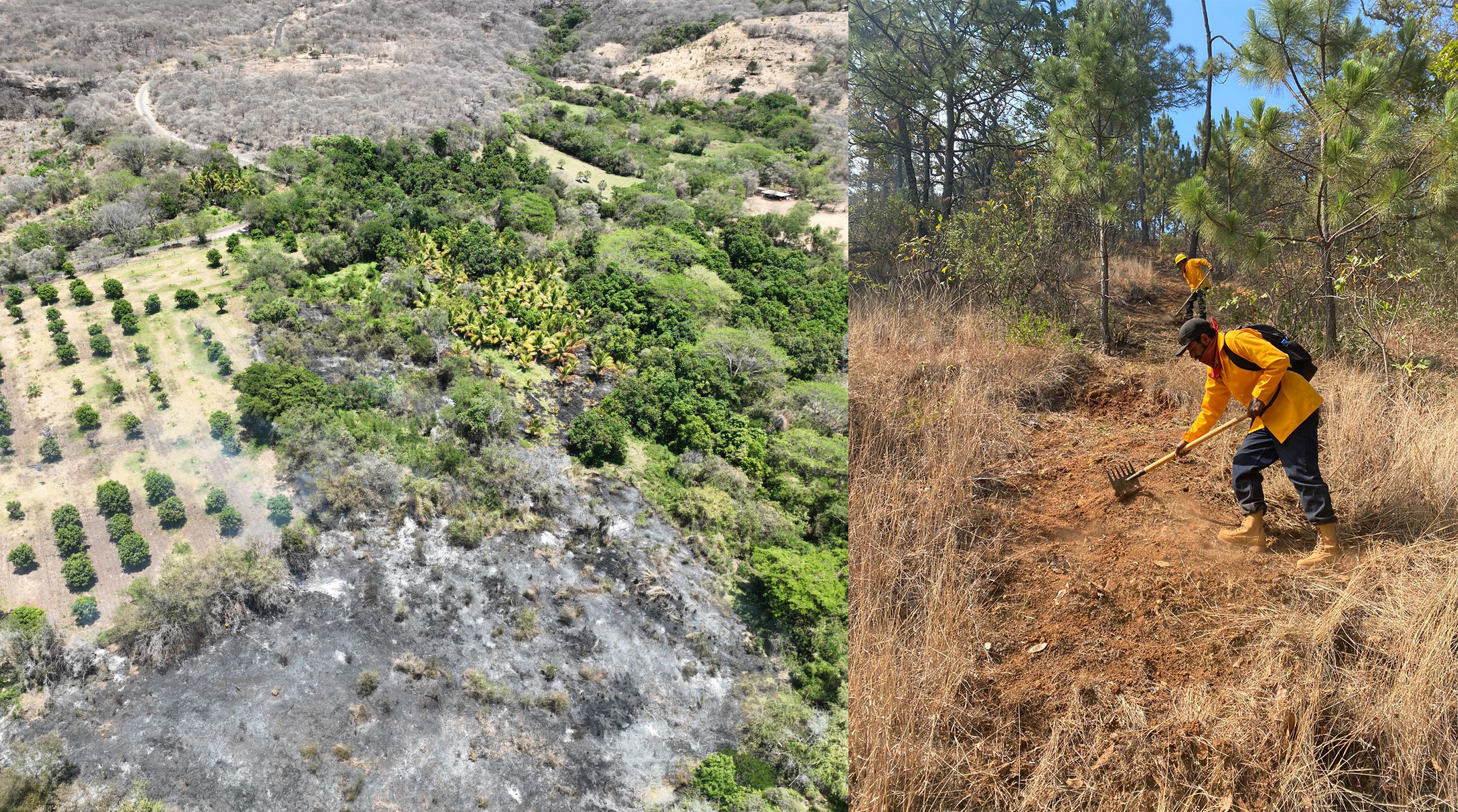 Combatientes apagan incendio forestal en Chinicuila y controlan 5 más