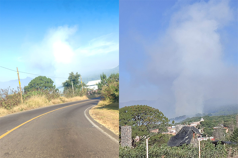 Brigadistas atienden incendio forestal en Toreo el Alto