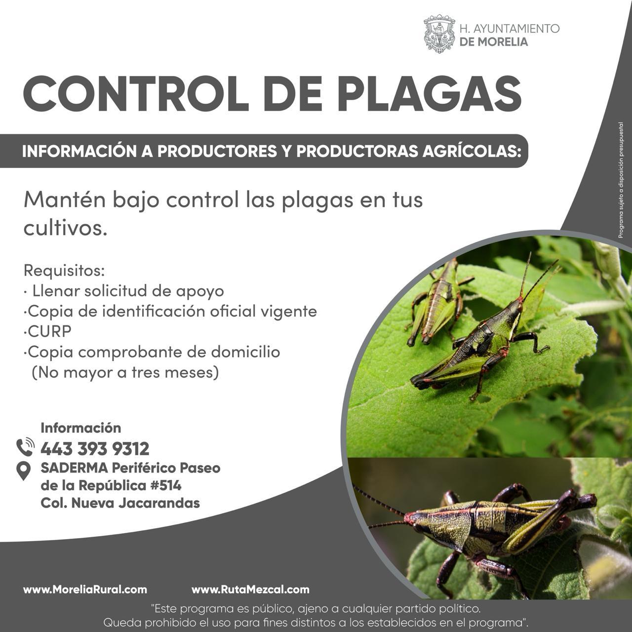 Productores agrícolas pueden prevenir y evitar pérdidas de sus cultivos.