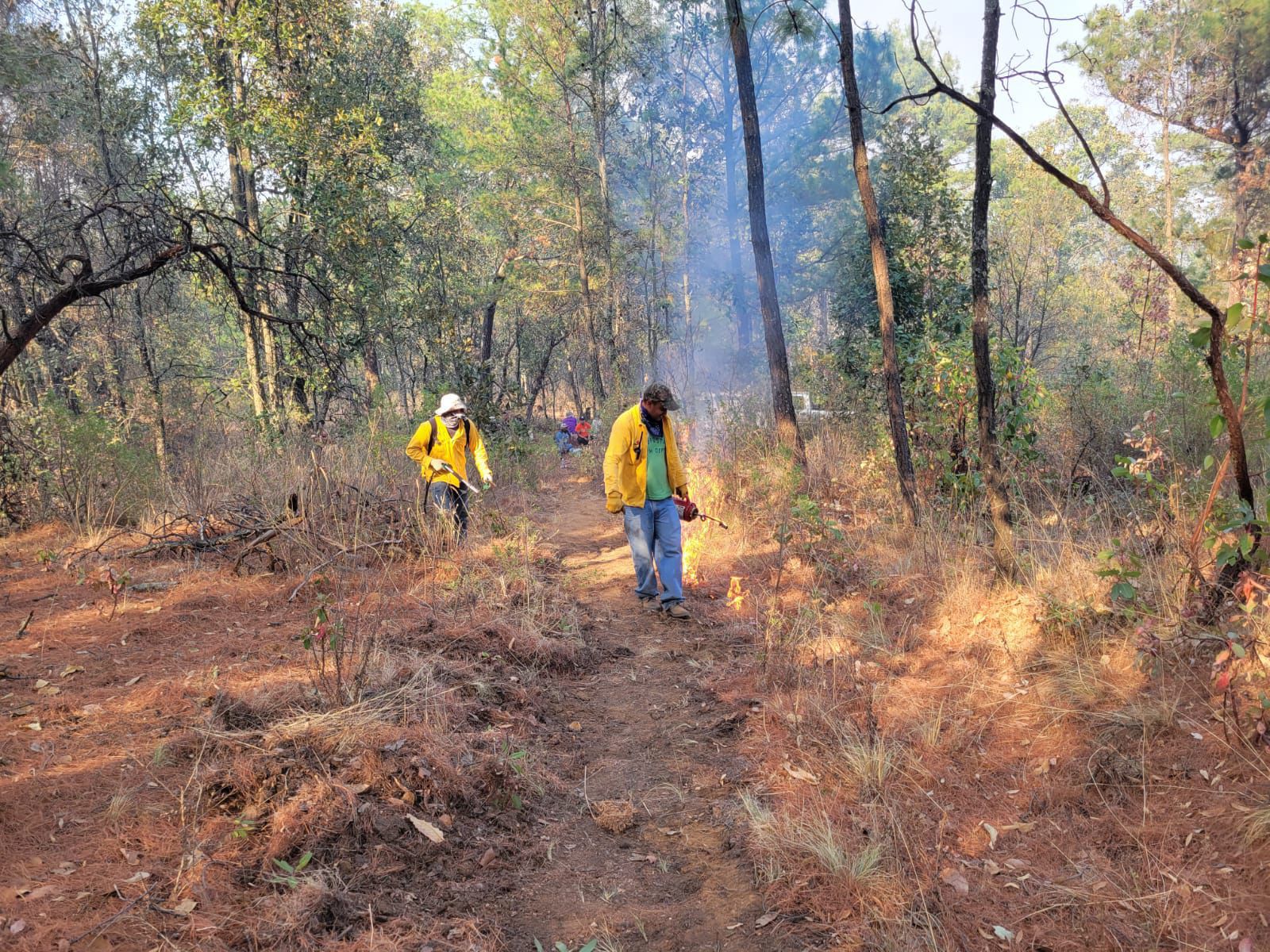 Controlado el incendio forestal en la Reserva de la Monarca