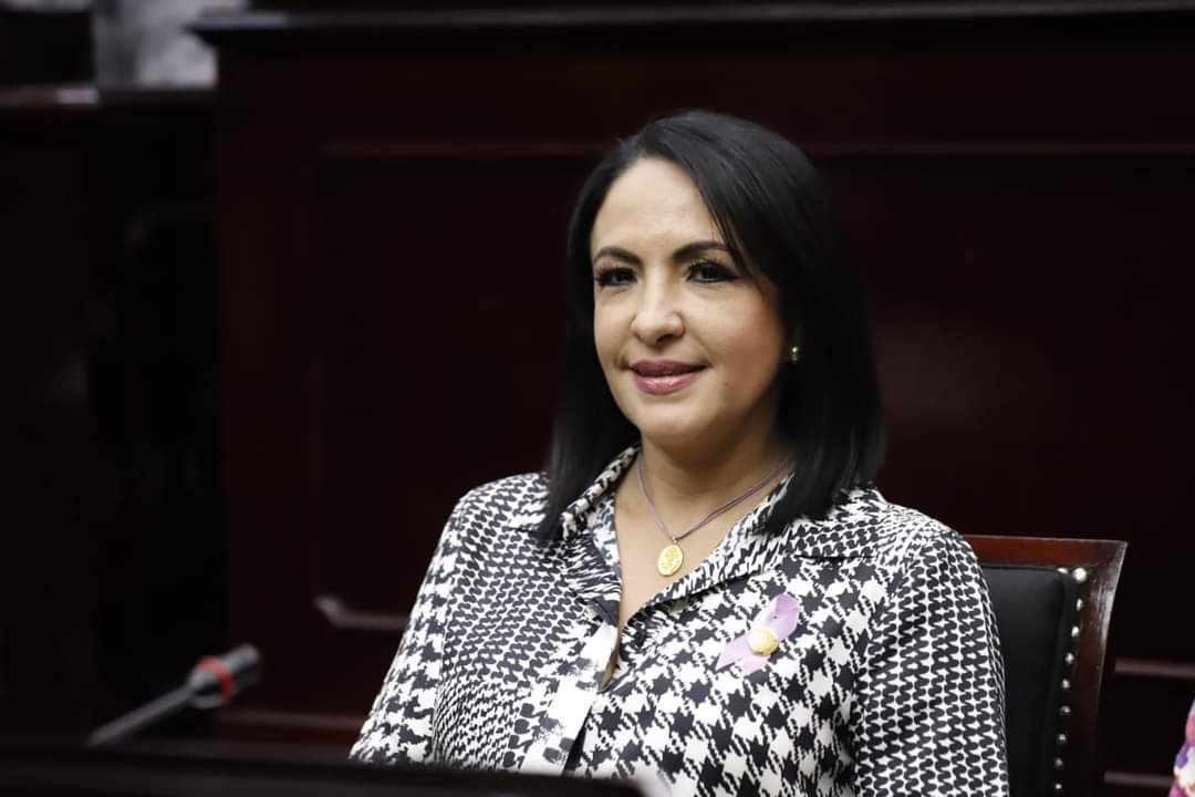 Resulta urgente tener claridad sobre el número de niños en situación de calle en Michoacán: Lupita Díaz