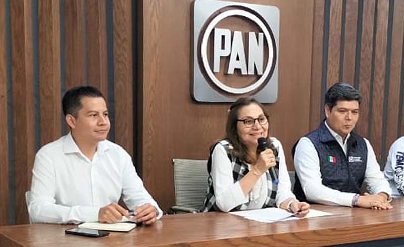 Crimen organizado busca influir desde 76 secciones electorales de Michoacán: PAN