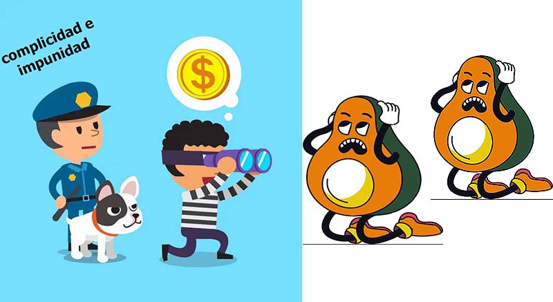 Gobierno Estatal debe reparar relación con Gobierno Estadounidense ante suspensión de exportación de aguacate y mango