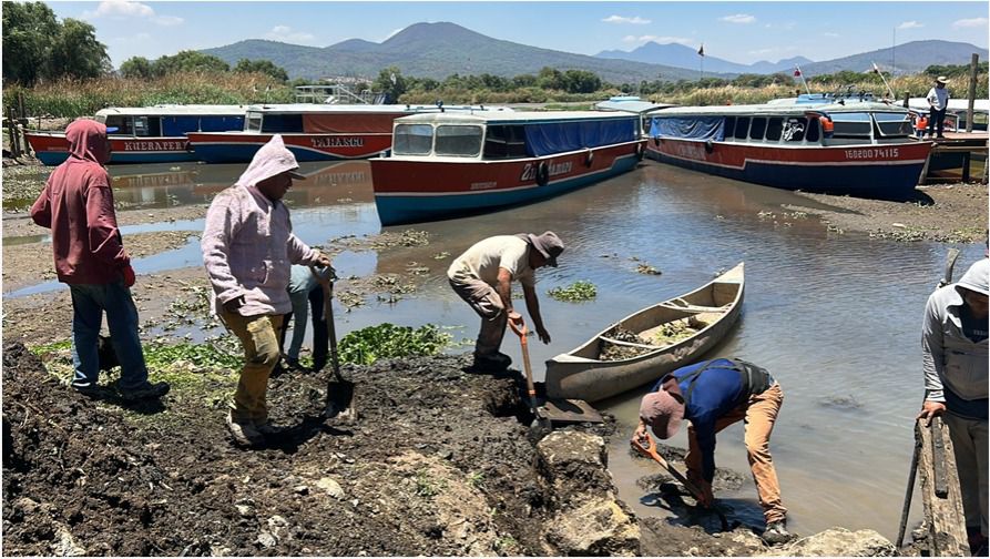 Compartir buenas prácticas, llama Secma en Día Mundial de lucha contra la Desertificación y la Sequía