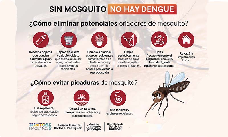 CEDH exhorta a las autoridades sanitarias a prevenir la propagación del Dengue