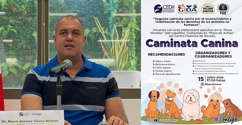 Habrá Segunda caminata Canina en reconocimiento de sus derechos humanos