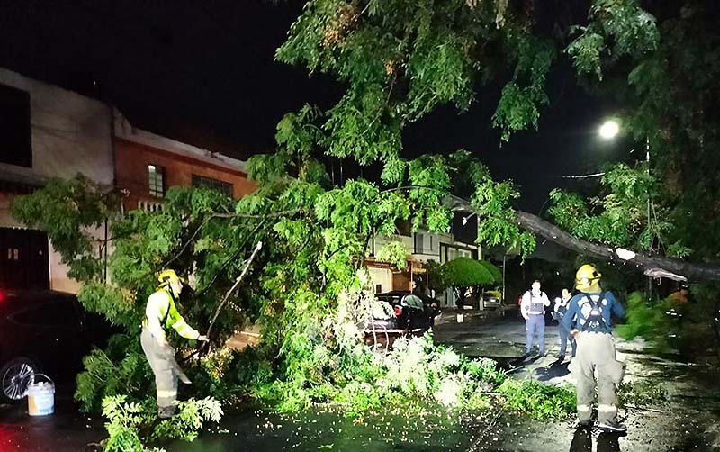 Pequeñas afectaciones dejó lluvia de esta madrugada