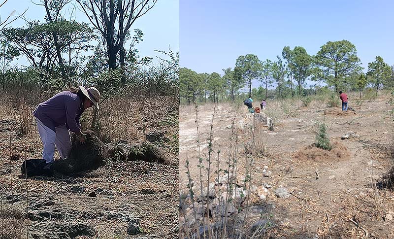Conmemora Gobierno de Tarímbaro Día Mundial del Medioambiente