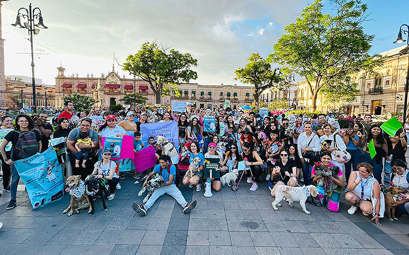 Para visibilizar los derechos de los animales no humanos, realizan caminata canina