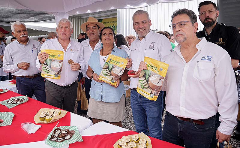 Michoacán tiene la primera planta procesadora de harina de plátano