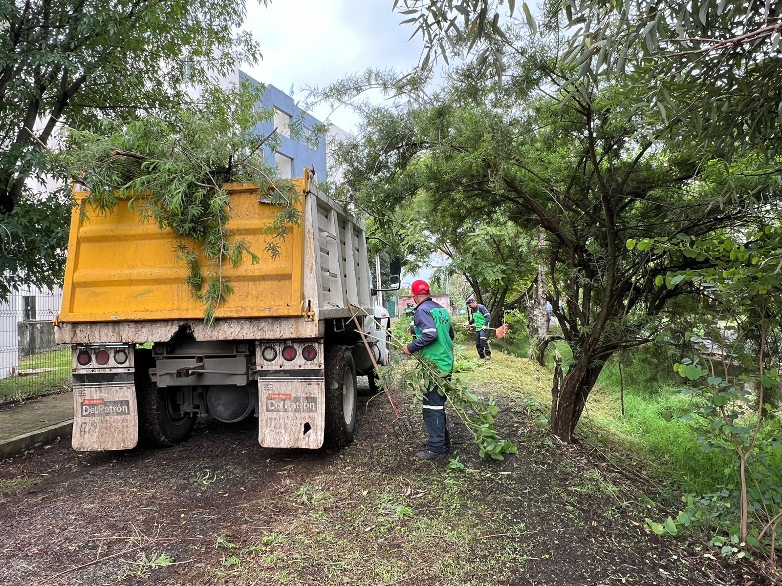 Gobierno Municipal y vecinos realizan limpia en El Vergel