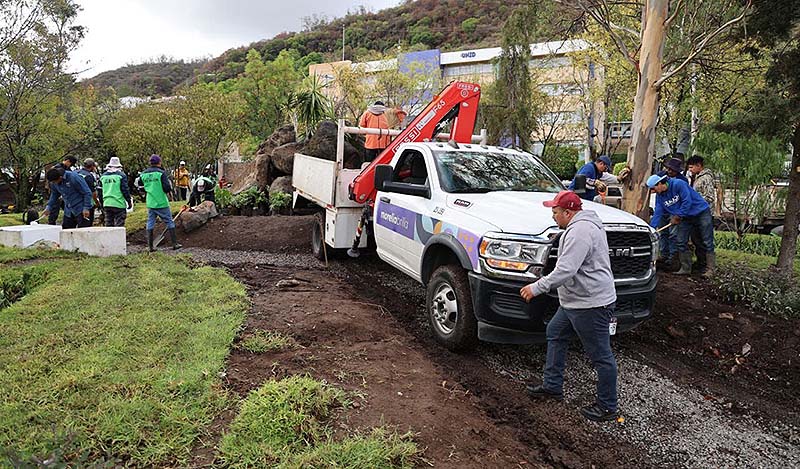 Intensifica Gobierno de Morelia el cuidado de árboles para combatir plagas