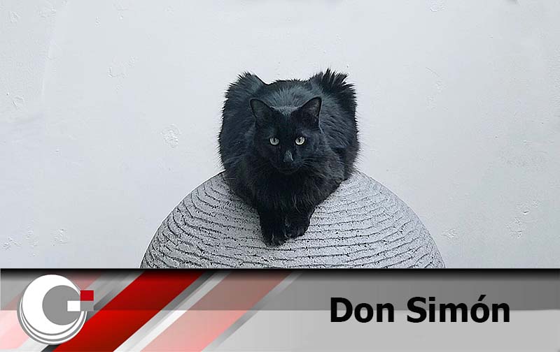 OPINIÓN. “Son una vergüenza los partidos políticos en México”. Por Simón