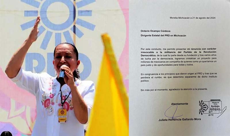 Anuncia Julieta Gallardo su separación del PRD