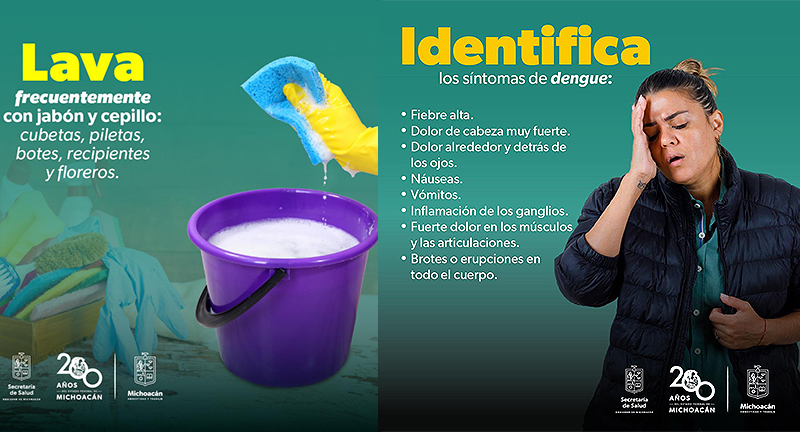 Combate el dengue desde casa con estas sencillas acciones que comparte la SSM