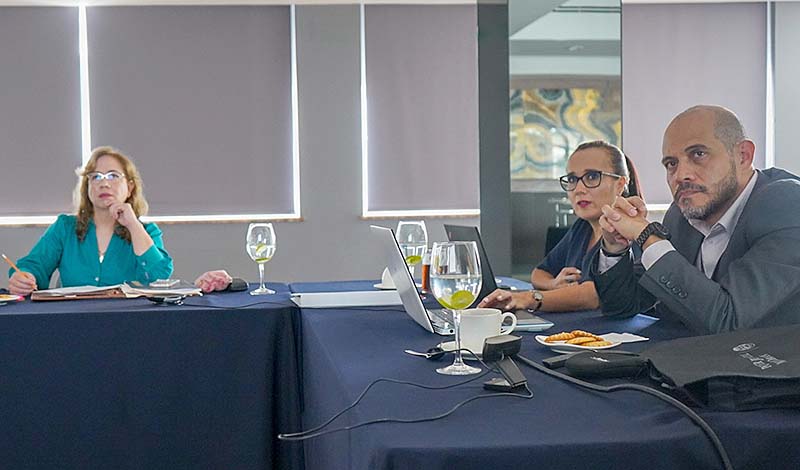 Grupo de trabajo encargado de la implementación del CNPCyF se reúne con el secretario técnico de COCIFAM