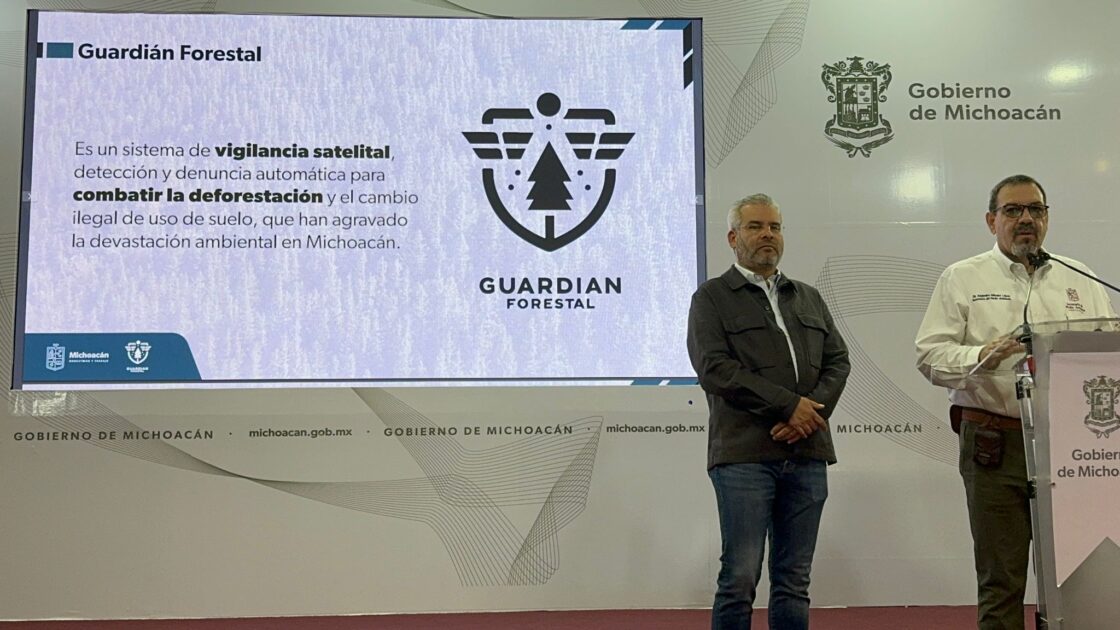 Impedirán venta de aguacate a USA sembrado en zonas deforestadas