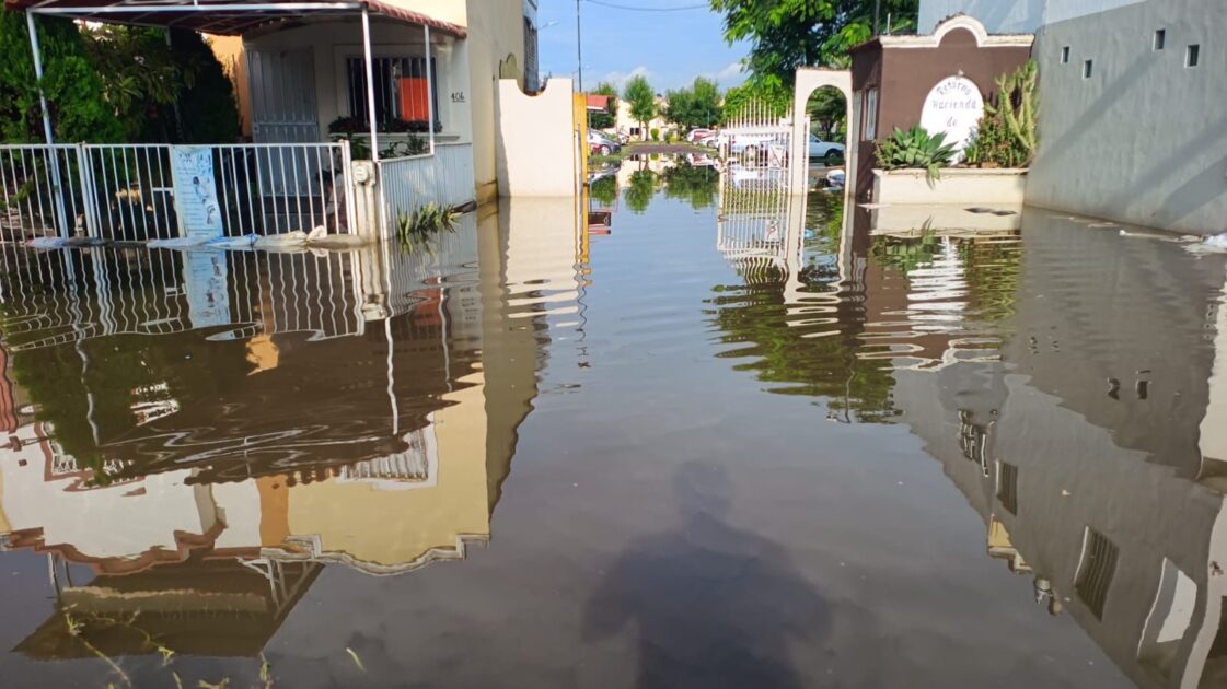 Atienden colonias que se mantienen bajo el agua para evitar enfermedades.