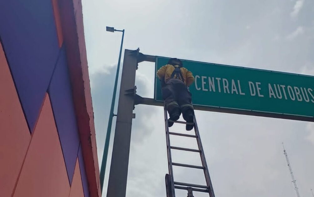 Rescata Bomberos Morelia, gatito en un espectacular