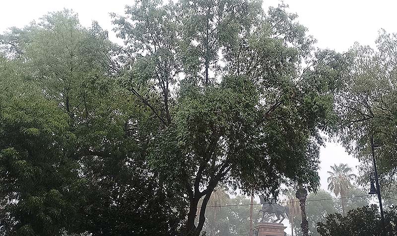 Lluvias esta madrugada sin afectaciones en la ciudad