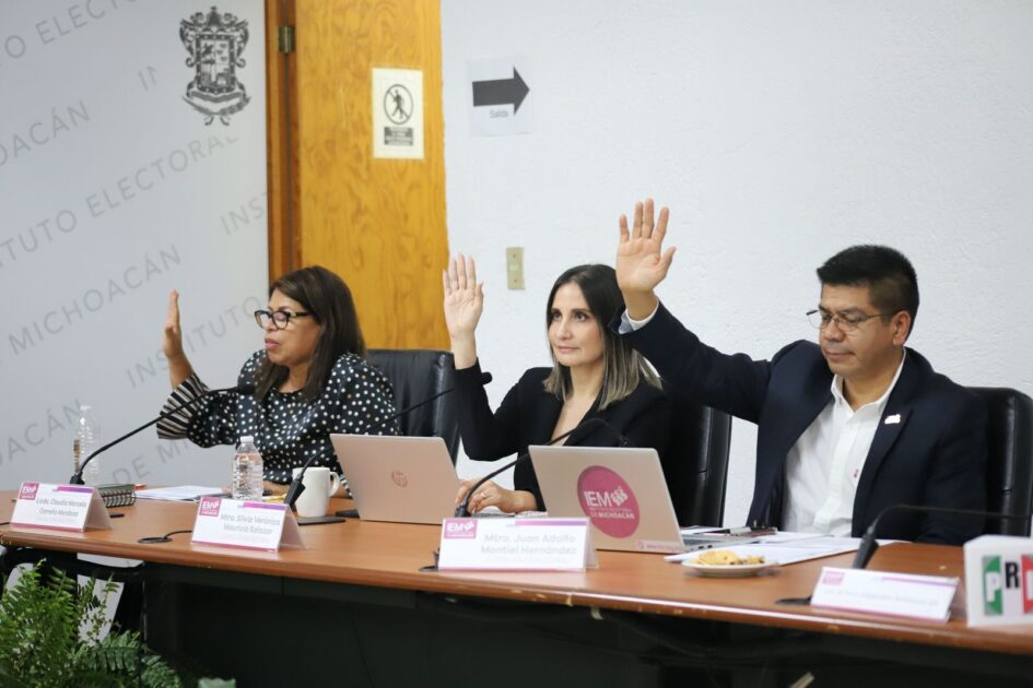 IEM aprueba topes de gastos de campaña para la elección de Irimbo