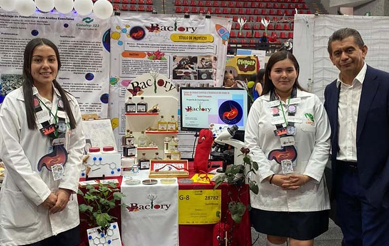 Entrada sin título 247011