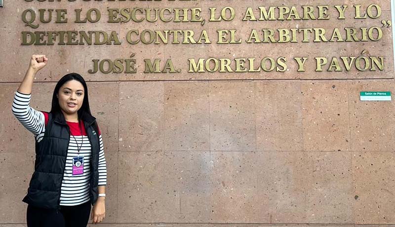 Aprueba Consejo Estatal del PRD planilla que competirá en Irimbo