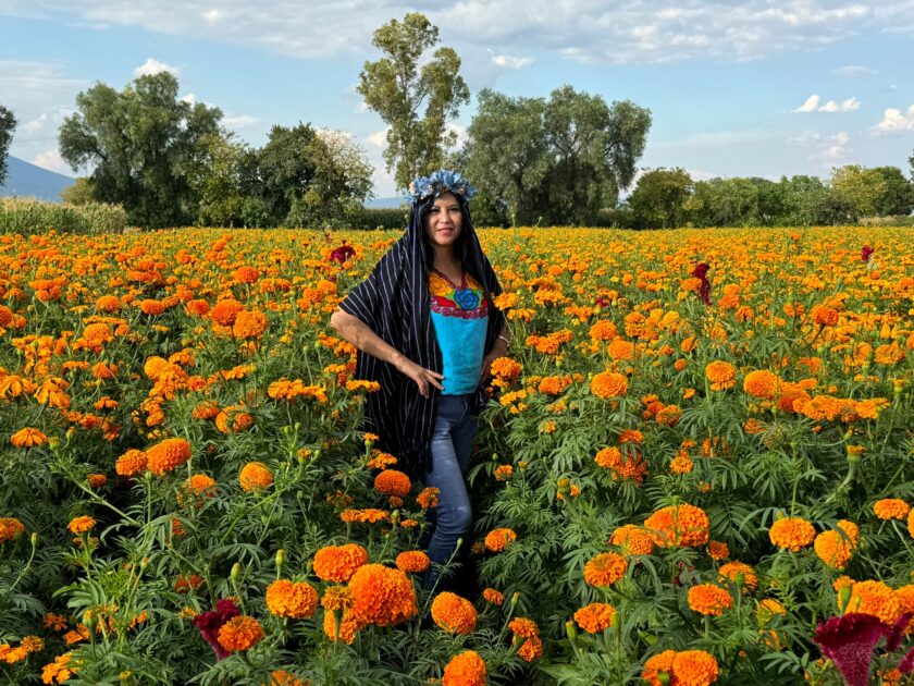 Todo listo para vivir la Ruta de la Flor de Cempasúchil
