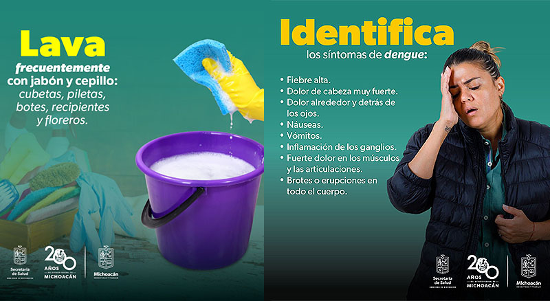 Conoce los síntomas del dengue y cómo prevenirlo desde las escuelas