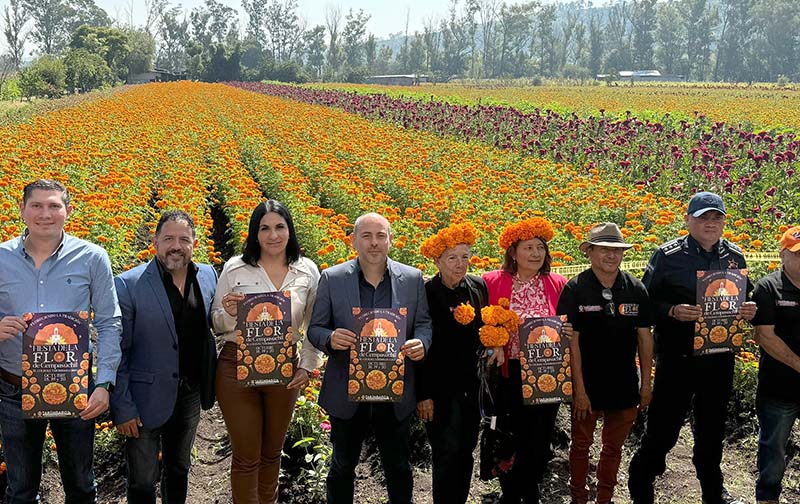 Tarímbaro se vestirá de color y olor, a muerte y vida con la Fiesta de la Flor de Cempasúchil 2024