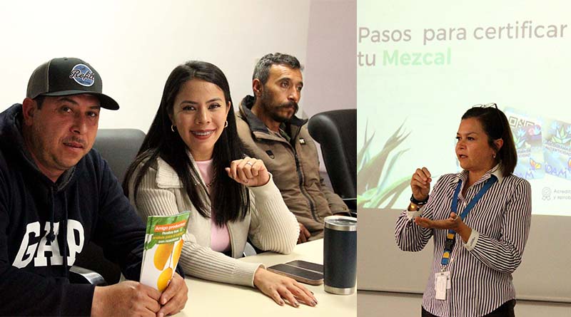 Diana Caballero y CIDAM impulsan la exportación de mezcaleros, chileras y moleras