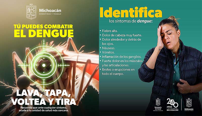 Así puedes prevenir el dengue en tu hogar; la SSM te dice cómo