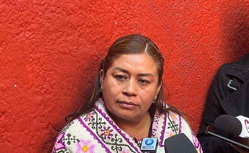 Sin desproteger presupuestalmente la salud de los michoacanos: Belinda Iturbide