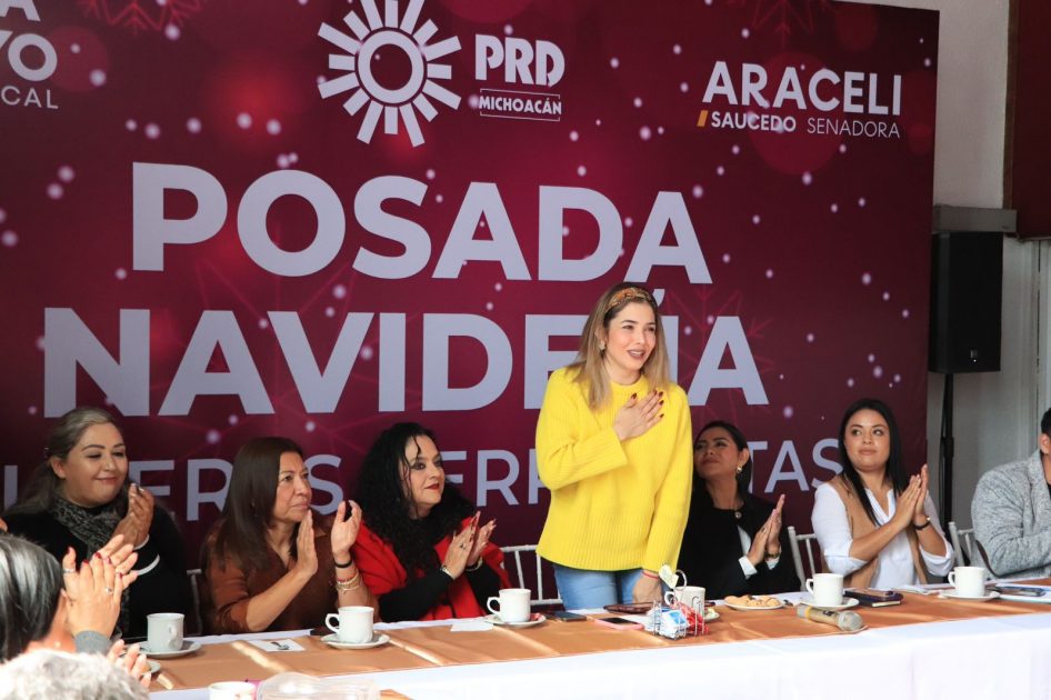 Diputada Brissa Arroyo impulsa una Red de apoyo a mujeres perredistas