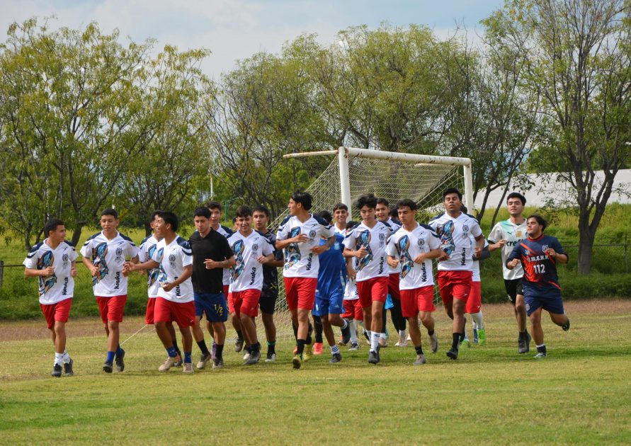 ¡Estamos de regreso!, Zorros reanuda actividades