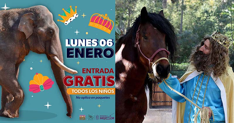 Niñas y niños entrarán gratis al Zoológico de Morelia por Día de Reyes