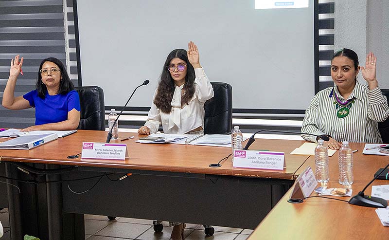 Emite IEM catálogo de infracciones para la elección del Poder Judicial 2024-2025