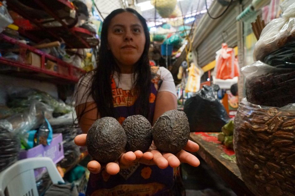 Sube el precio del aguacate hasta 75 pesos por kilo en el Mercado Independencia de Morelia